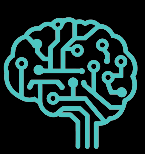 QiMeta Logo