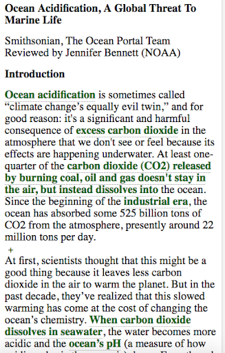 Document Highlighted